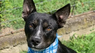 Matteo